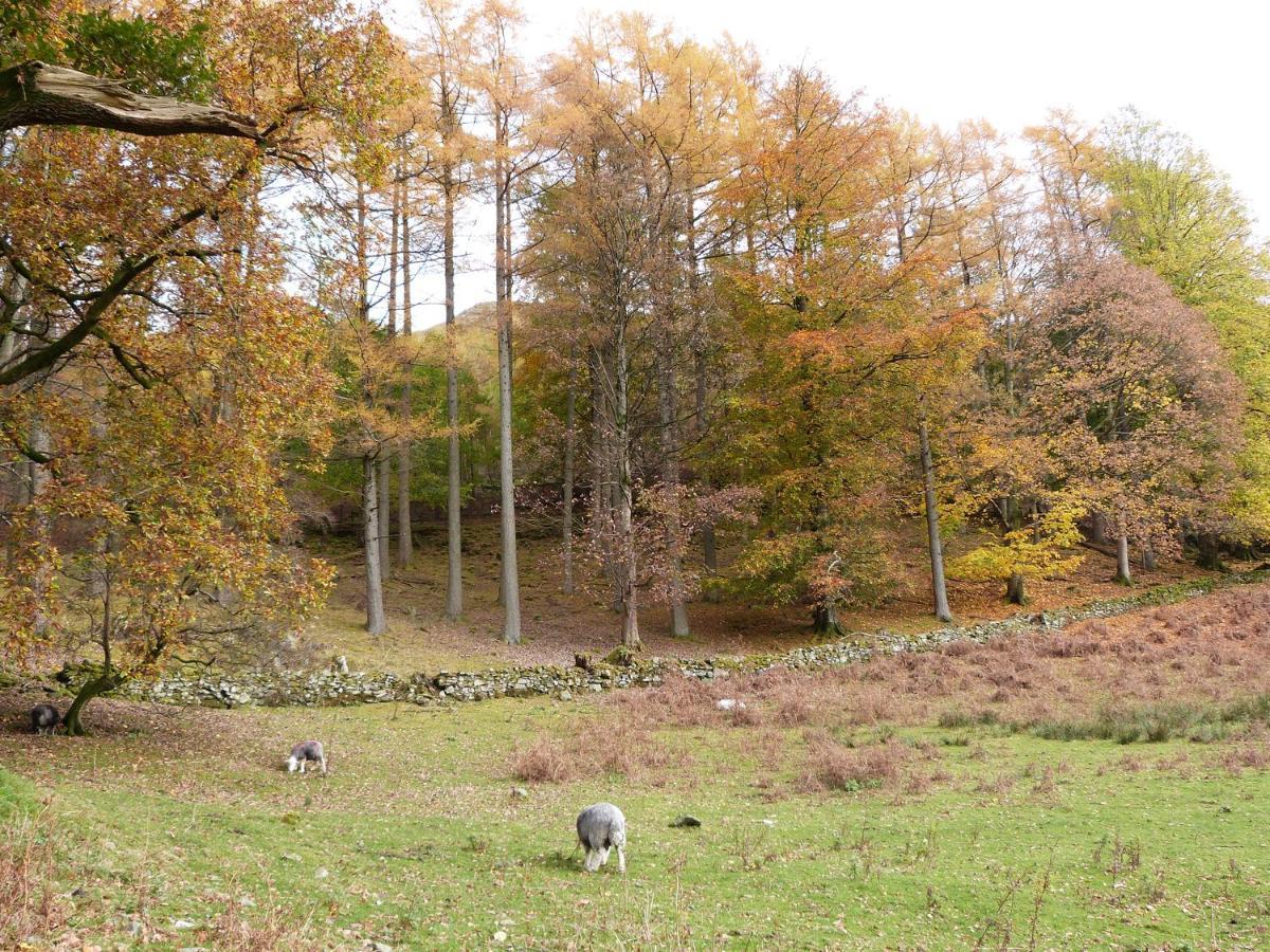 Hazel - Woodland Cottages Bowness-on-Windermere Εξωτερικό φωτογραφία
