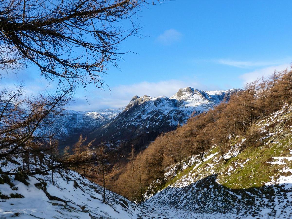 Hazel - Woodland Cottages Bowness-on-Windermere Εξωτερικό φωτογραφία